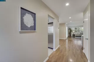 Photo #5: 41017759 Listing 