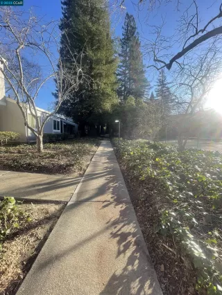 Photo #5: 41017773 Listing 