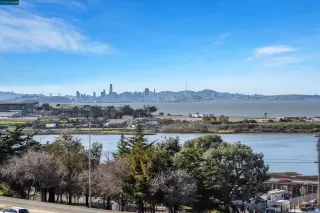 Photo #1: 41017820 Listing 