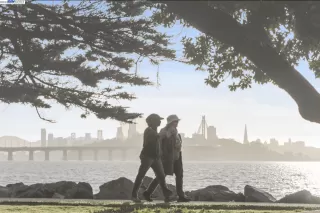 Photo #6: 41017849 Listing