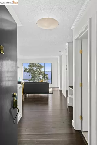 Photo #1: 41017943 Listing 