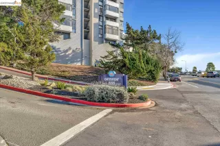 Photo #1: 41017970 Listing 