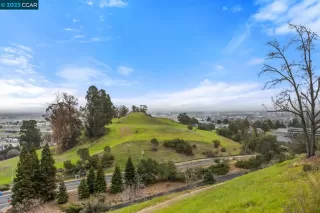 Photo #6: 41018059 Listing 