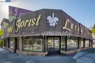 Photo #3: 41018132 Listing