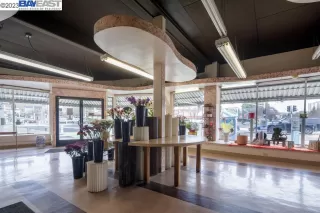 Photo #6: 41018132 Listing