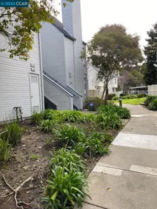 Photo #4: 41018135 Listing 