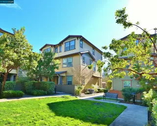Photo #1: 41018177 Listing