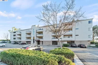 Photo #1: 41018185 Listing