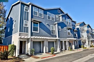 Photo #1: 41018442 Listing