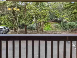 Photo #1: 41018488 Listing 