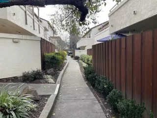 Photo #5: 41018534 Listing