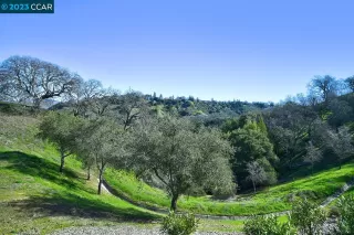 Photo #4: 41018581 Listing 