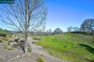 Photo #5: 41018581 Listing 