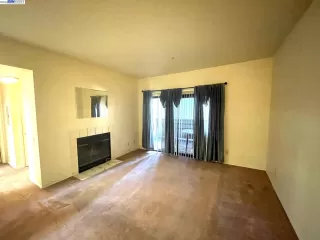 Photo #1: 41018643 Listing