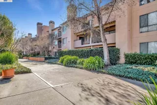 Photo #1: 41018739 Listing
