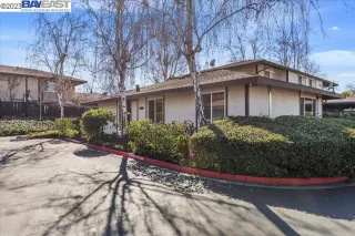 Photo #1: 41018889 Listing 