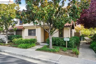 Photo #1: 41019154 Listing 