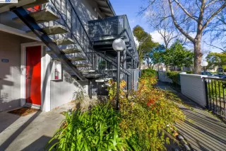 Photo #1: 41019174 Listing