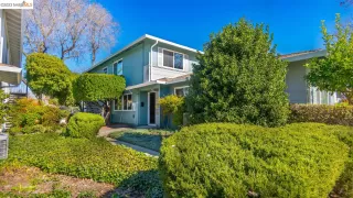 Photo #1: 41019266 Listing 