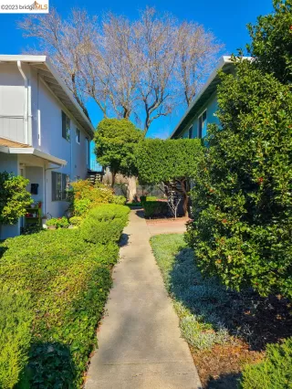 Photo #4: 41019266 Listing 