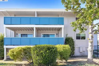 Photo #1: 41019327 Listing