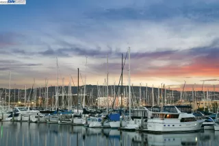 Photo #1: 41019536 Listing