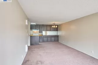 Photo #1: 41019540 Listing