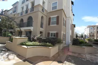 Photo #1: 41019546 Listing