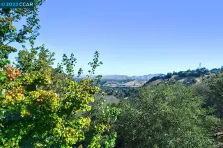 Photo #6: 41019652 Listing 