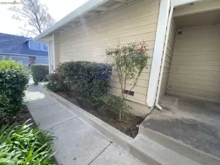 Photo #4: 41019713 Listing 