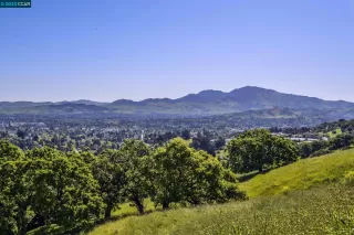 Photo #1: 41019714 Listing