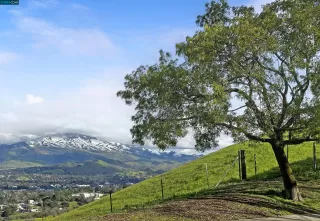 Photo #2: 41019714 Listing