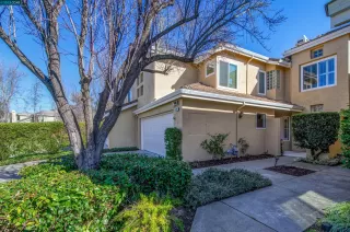 Photo #1: 41019750 Listing 