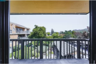 Photo #1: 41019923 Listing