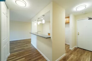 Photo #3: 41019923 Listing