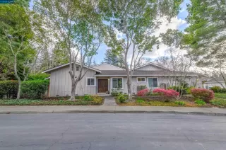 Photo #1: 41019994 Listing