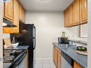 Photo #4: 41020024 Listing