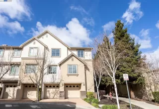 Photo #1: 41020044 Listing 