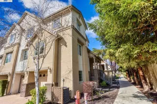 Photo #2: 41020044 Listing 