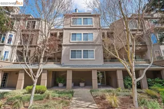 Photo #1: 41020242 Listing 