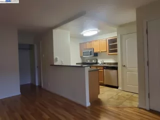 Photo #5: 41020368 Listing 