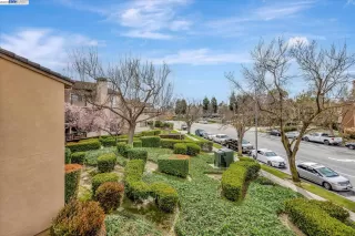 Photo #4: 41020427 Listing