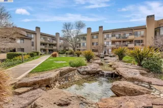 Photo #5: 41020427 Listing