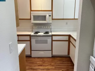 Photo #5: 41020444 Listing 