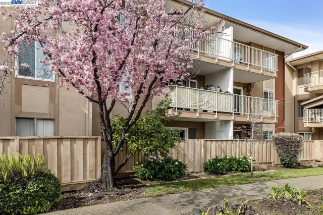 MLS: 41020538 Condo For Sale