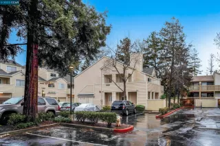 Photo #1: 41020652 Listing 