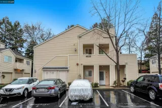 Photo #2: 41020652 Listing 