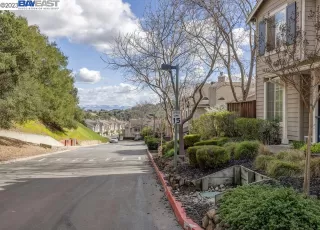 Photo #1: 41020736 Listing 