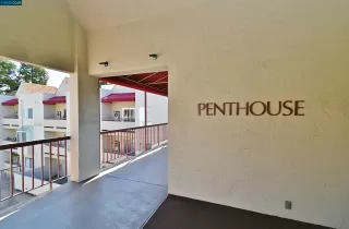 Photo #1: 41020764 Listing