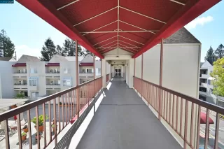 Photo #3: 41020764 Listing